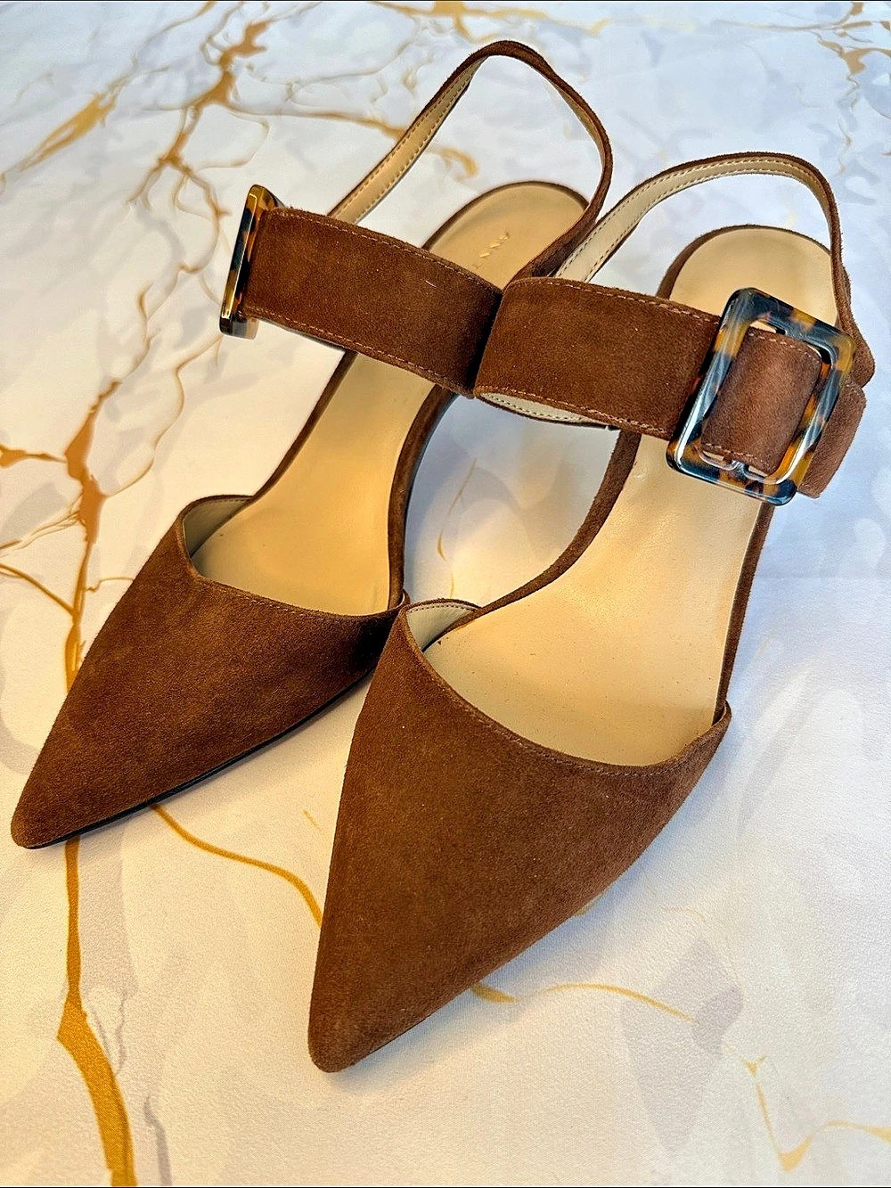 Ann Taylor Pointed Toe Buckle Heels in Brown
